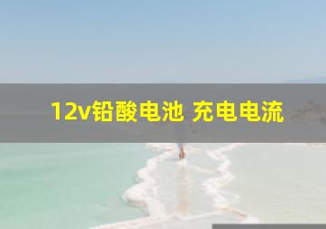 12v铅酸电池 充电电流